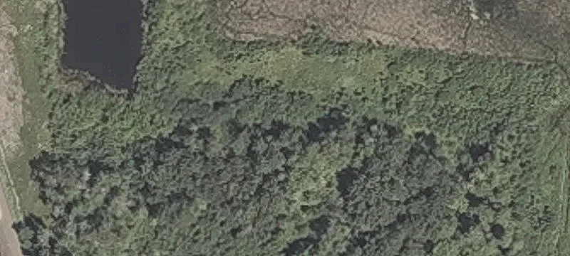 Dowd Rd