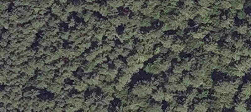 85 Plns Rd