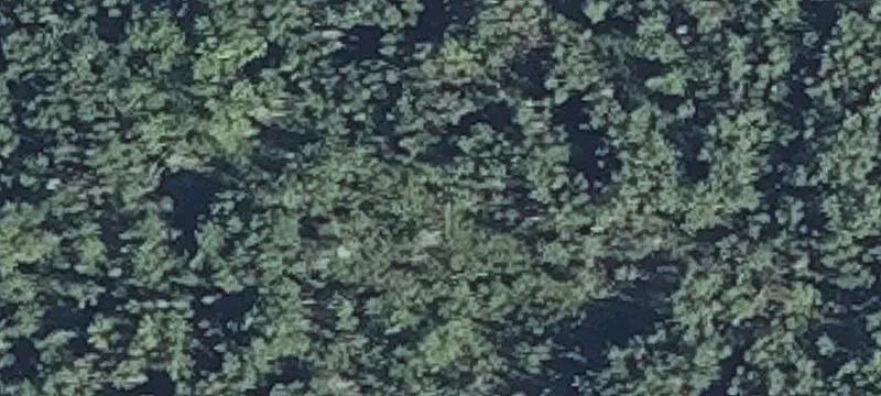289 Grn Rd