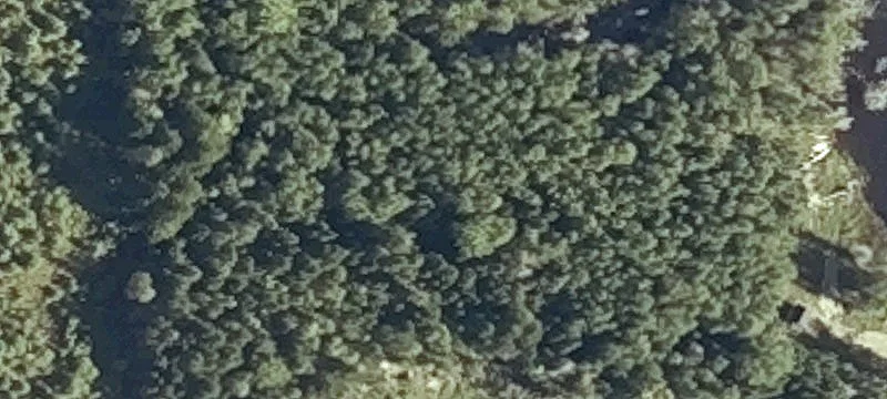 593 Us Rte 1st 1