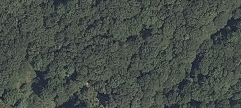 175 Running Hl Rd