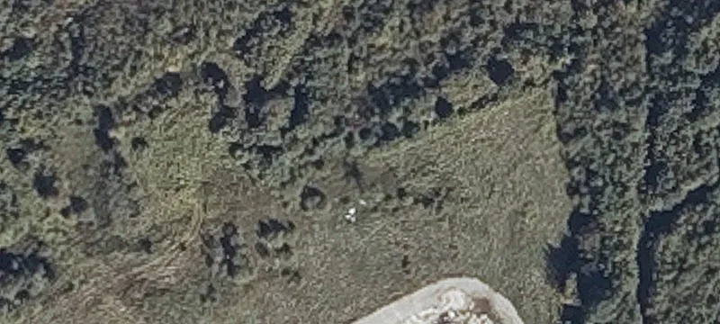 276 Harold L Dow Hwy