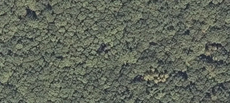 20 Quarry Trl
