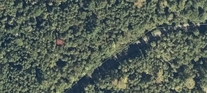 Prospect, ME 04981