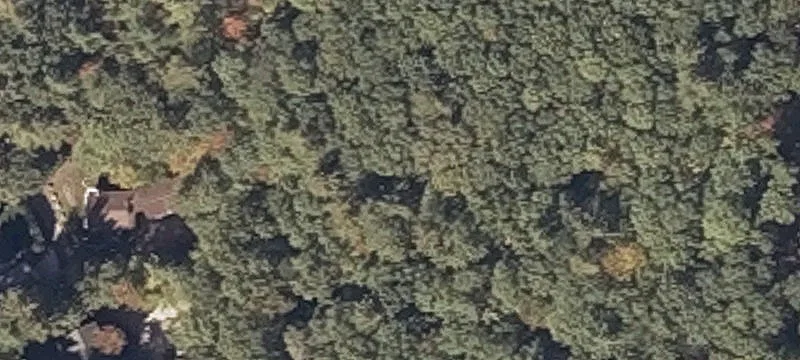 294 Hio Rdg S Shrs