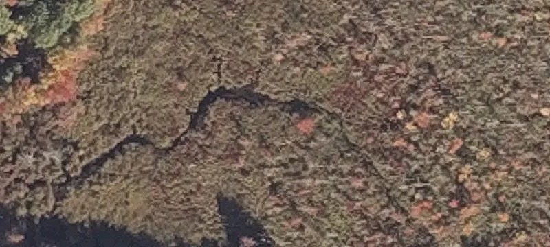 Middle Rd