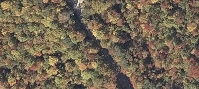 288 Patch Mtn Rd