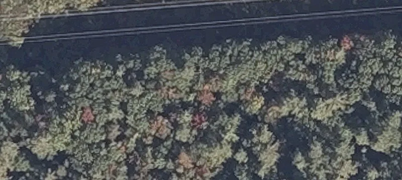 1 Tyler Dr