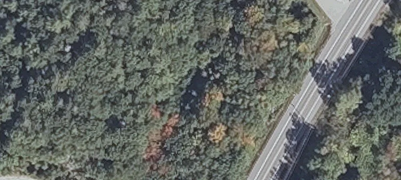 356 Us Rte 1st 1