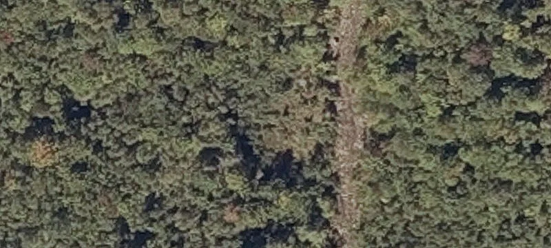 590 Owen Mann Rd