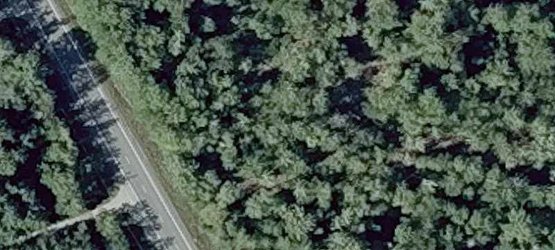 1193 Lakewood Rd