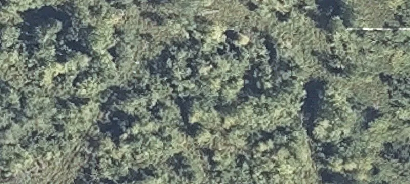 900 Orffs Cor Rd