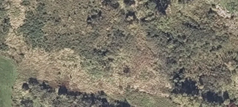 1980 Heald Hwy