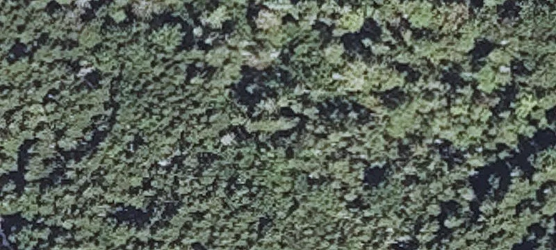 340 Stones Pt Rd