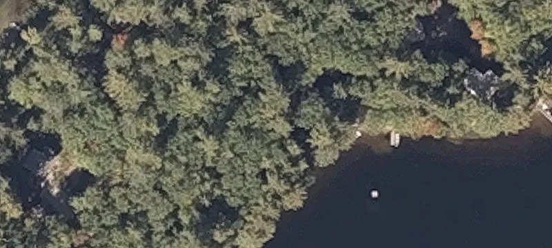 30 Wild Acres