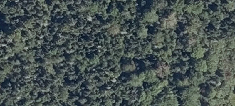139 Wilson District Rd