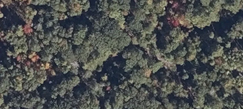 78 York Woods Rd
