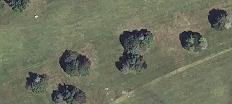 86 Mclellan Rd