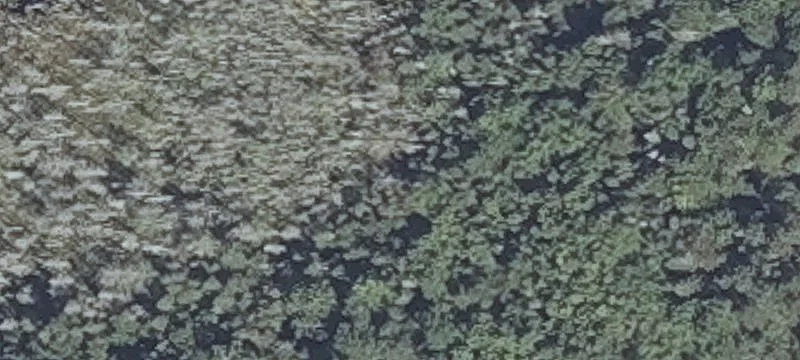 292 Rdg Rd