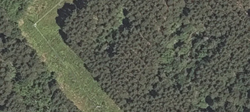 Finson Rd