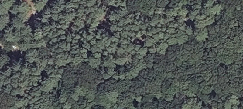 911 Portland Rd