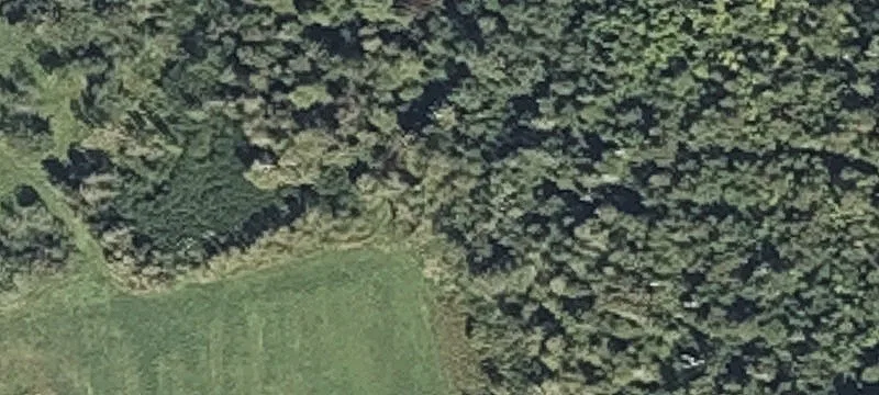 442 Chapman Rd