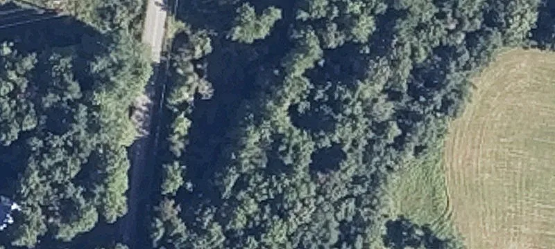 335 Rdg Rd