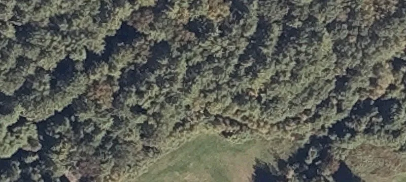 117 Pond Rd