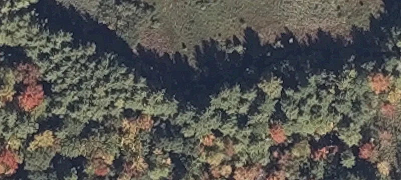 50 Quarry Rd