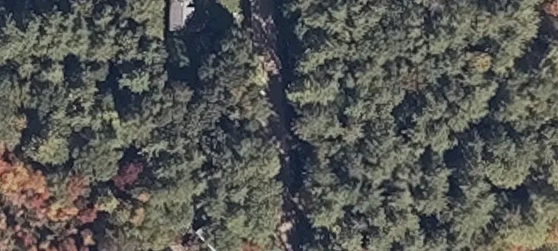 282 Bell Marsh Rd