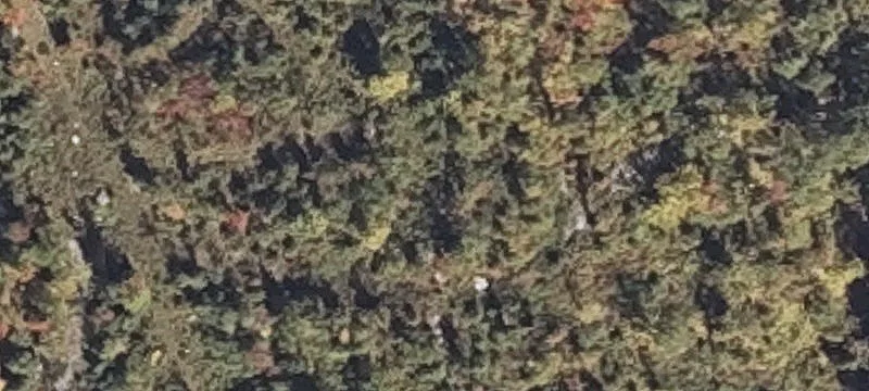 344 Mansion Rd