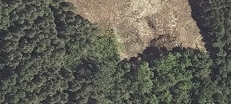 4 Griffin Rd