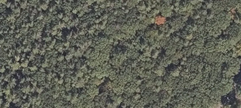 220 Clay Hl Rd