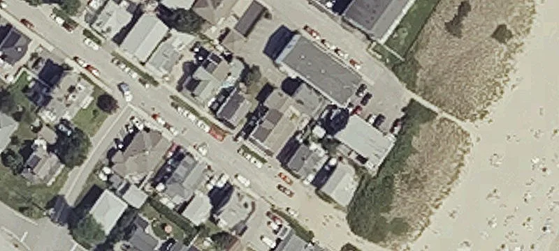 6 Un Ave