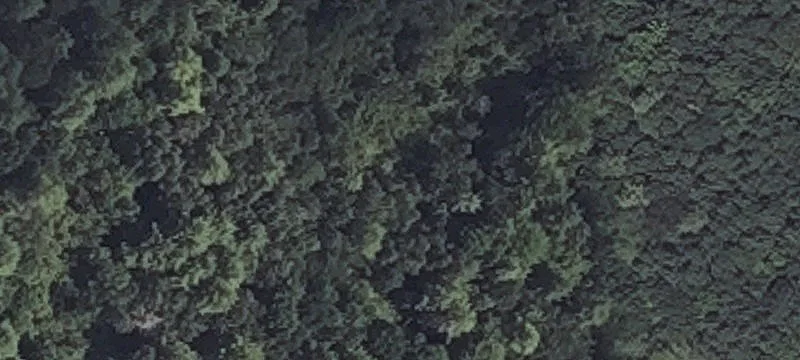11 Bishop Dr