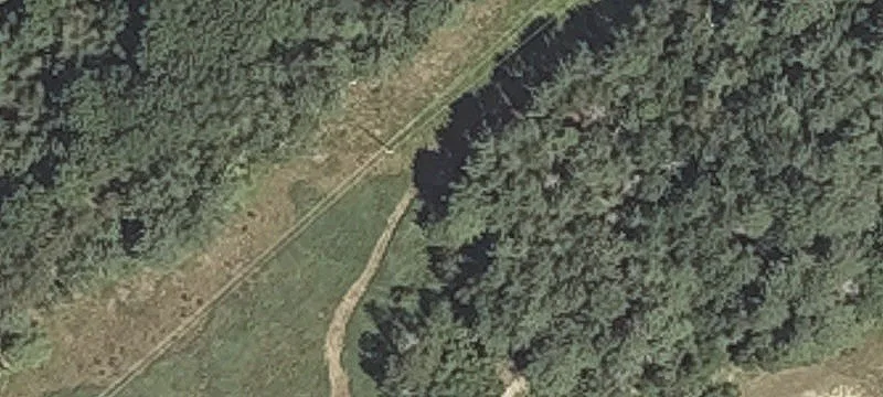 Finson Rd
