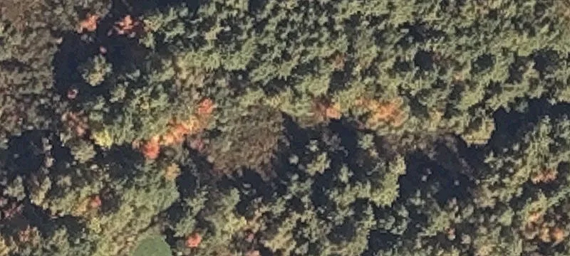 341 Ossipee Trl