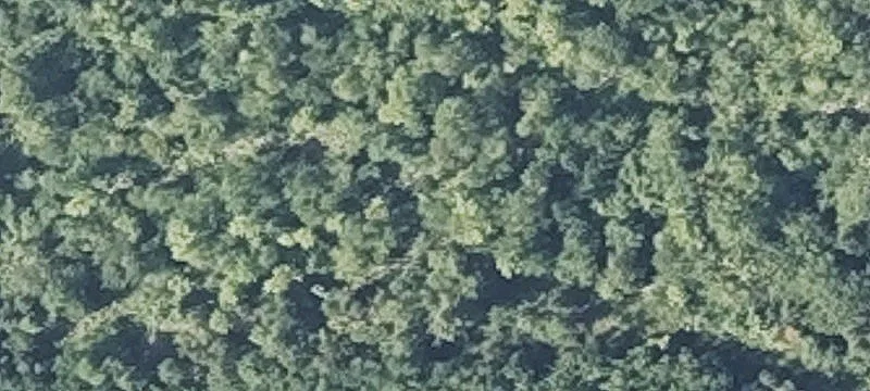 Atkinson, ME 04426