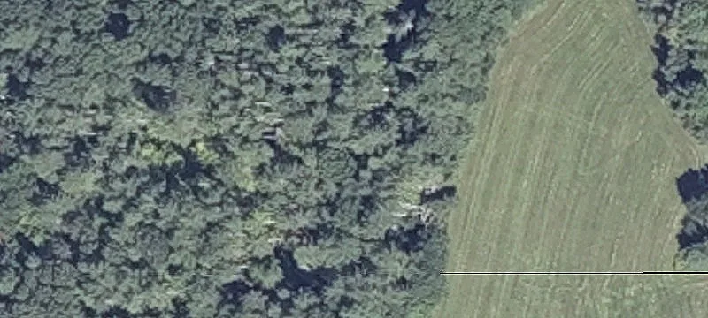 137 Noyes Rd