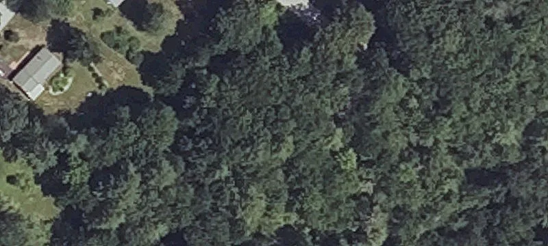 11 Deer Ln