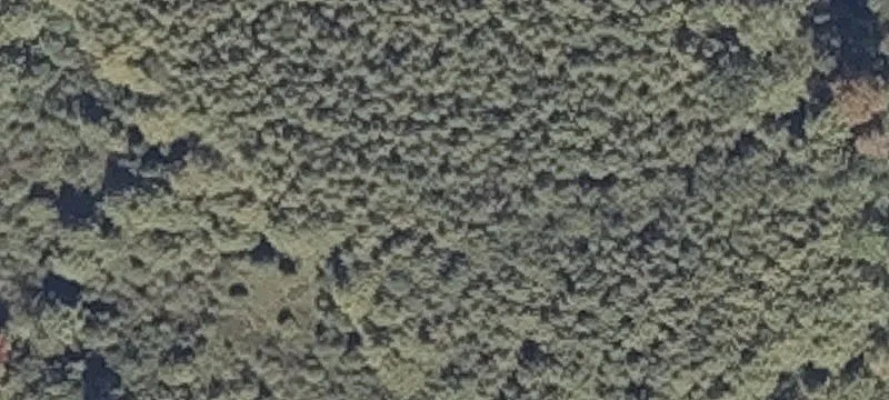 26 Desert Rd