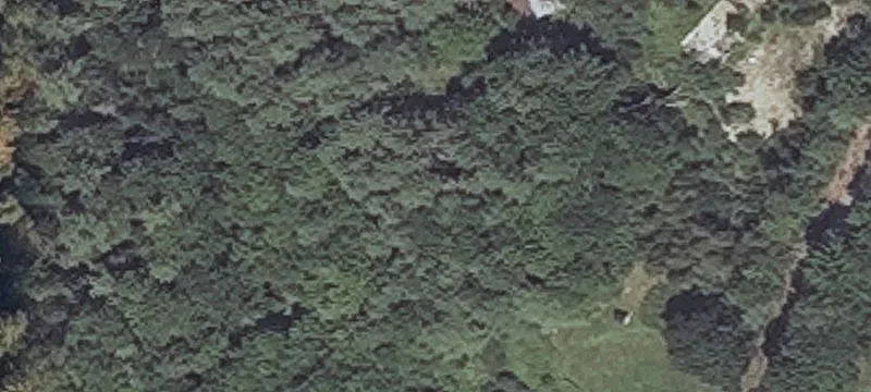 36 Burnham Rd