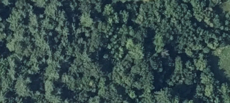 Augusta Rd