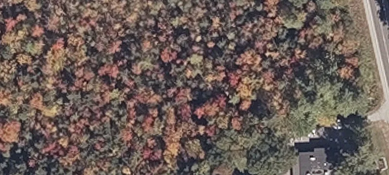 89 Country Clb Rd
