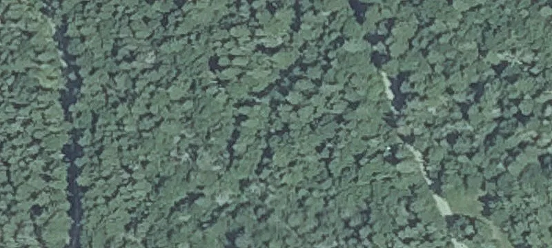 368 Pettegrow Pt Rd
