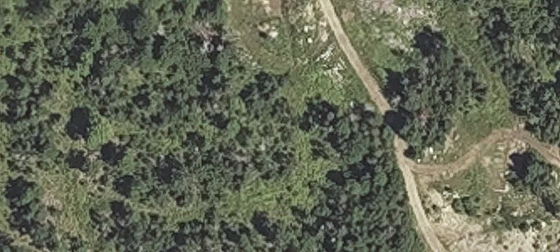 Jacob Buck Pond Rd