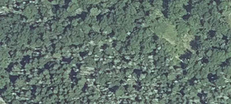 Yoho Head Rd