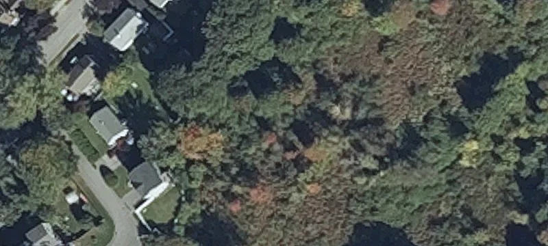 11 Lucille Ave