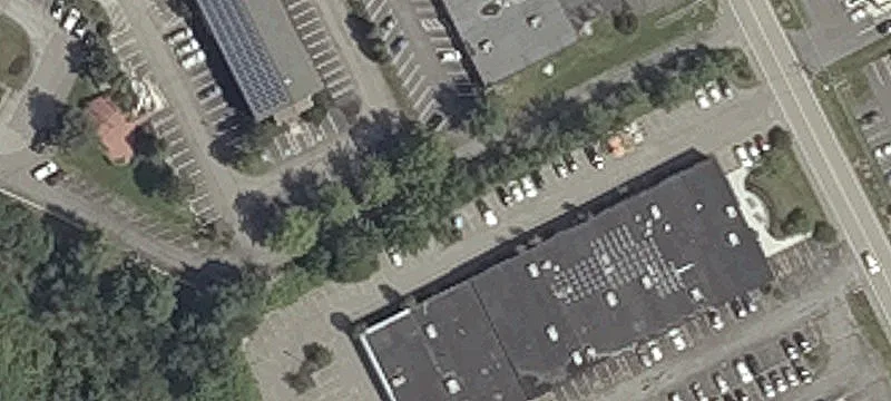 53 Darling Ave