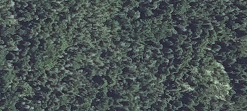 61 Pettegrow Pt Rd